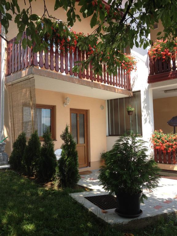 סליסטה דרזניקו Guesthouse Ante Hodak מראה חיצוני תמונה